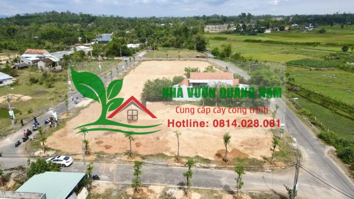 Nhà Vườn Quảng Nam thi công giáng hương