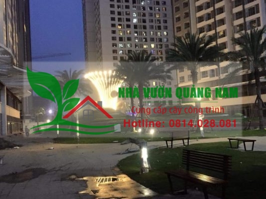 Nhà Vườn Quảng Nam thi công giáng hương