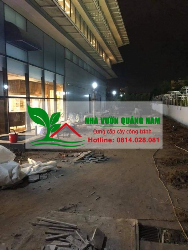 Thi công giáng hương công trình