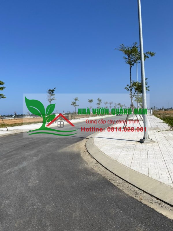 Tư vấn thi công – công trình cây xanh công cộng