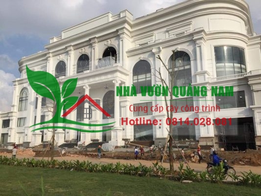 Tư vấn thi công cây xanh nhà ở