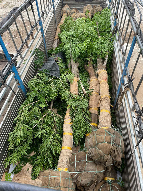 Nhà Vườn Quảng Nam