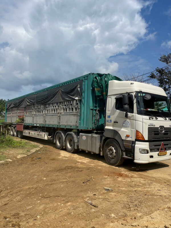 Trường học và khu công cộng