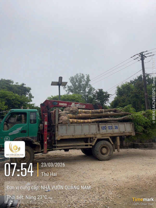Nhà Vườn Quảng Nam