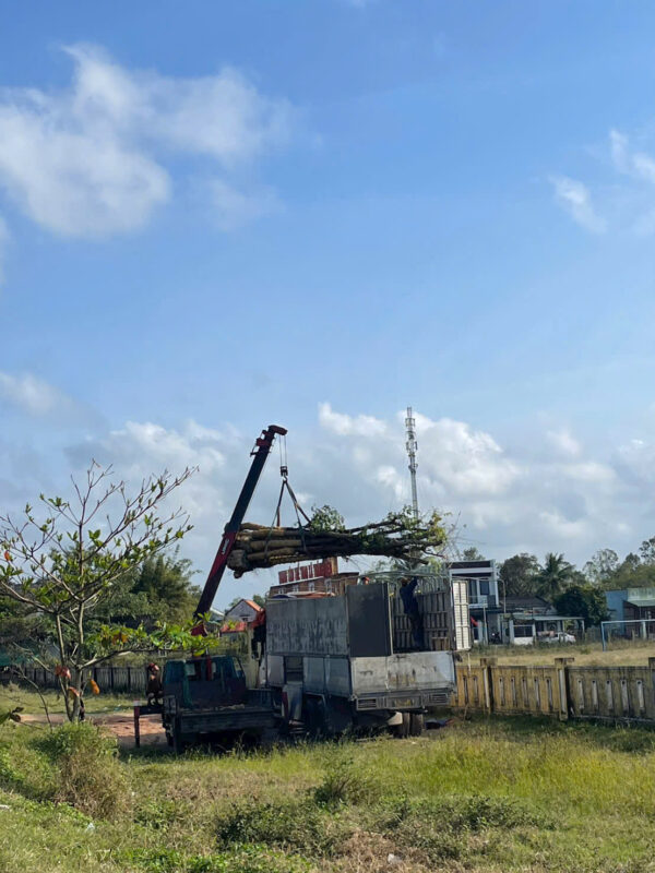 Khu công nghiệp và nhà máy