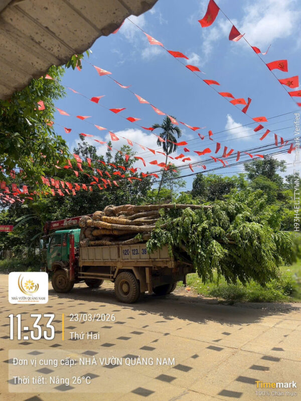 Khu đô thị mới tại Bắc Giang